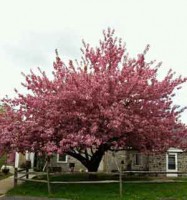 /album/photo-gallery-gallery/indian-fort-front-jpg1/